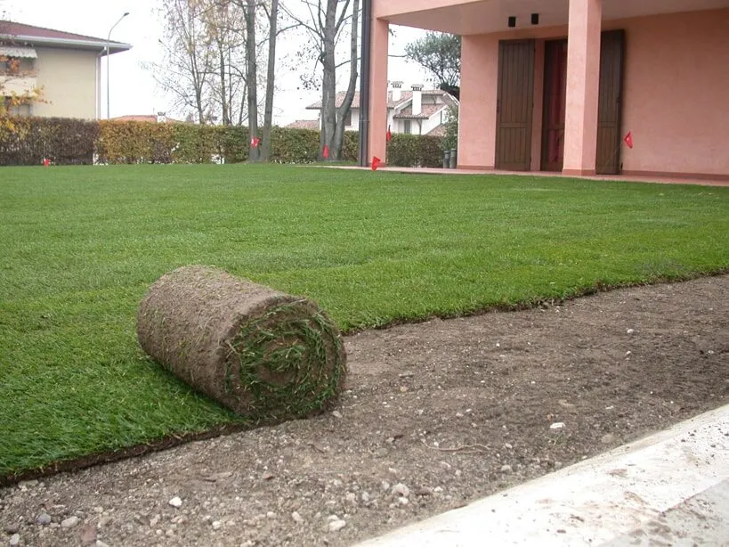 Scopri di più sull'articolo Tappeto Erboso in Placche o in Rotolo
